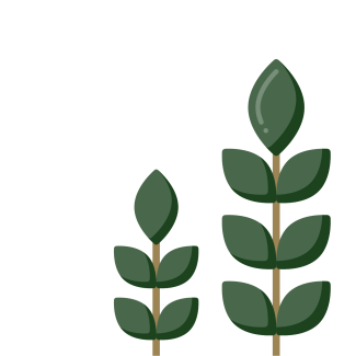 tall_plants2